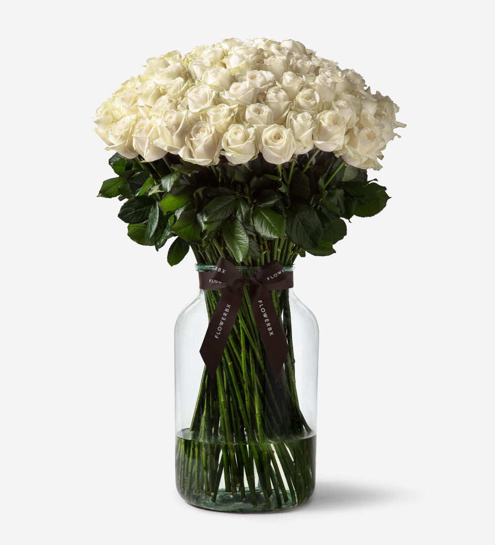 100 Roses Vase Set - Ivory