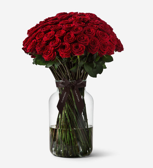 100 Roses Vase Set - Red