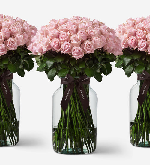 1000 Roses Vase Set - Pink