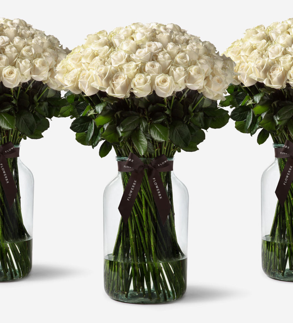 1000 Roses Vase Set - Ivory
