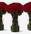 1000 Roses Vase Set - Red
