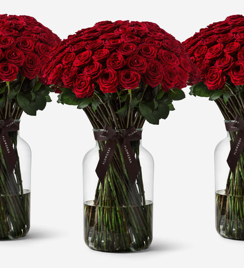 1000 Roses Vase Set - Red
