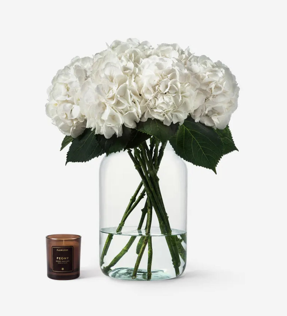 HYDRANGEA VASE SET
