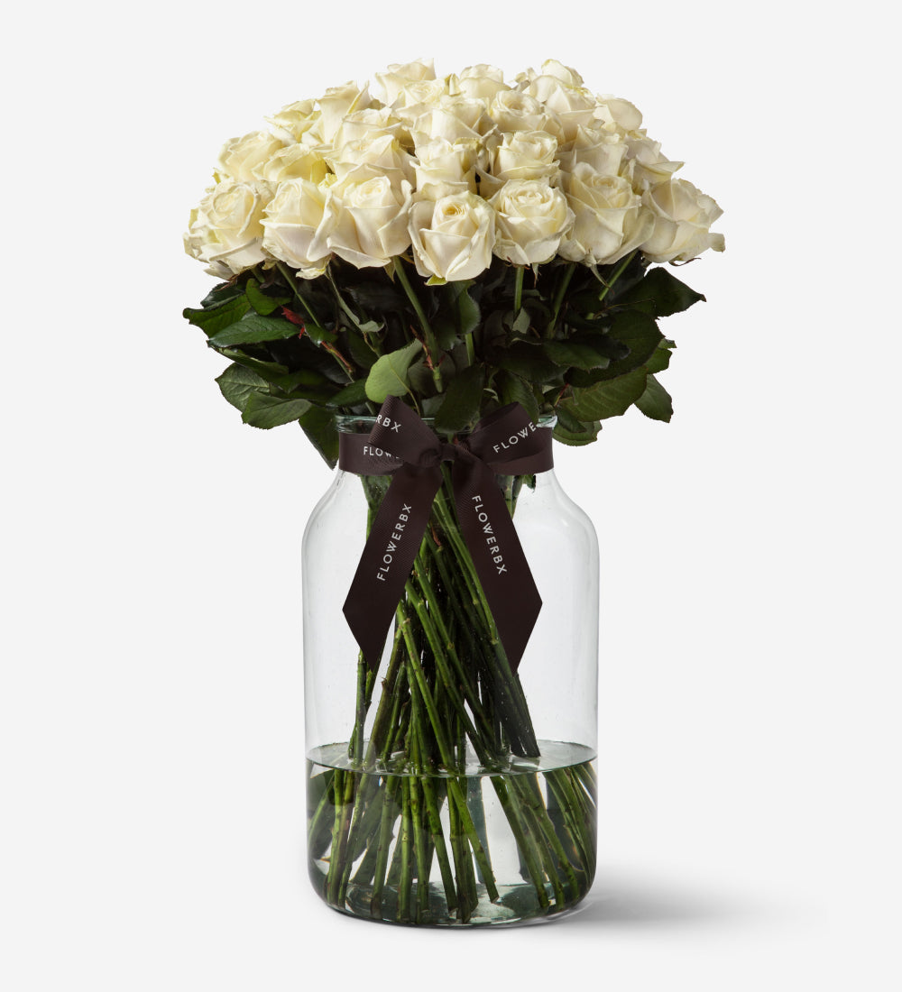 50 ROSES VASE SET