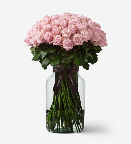 100 Roses Vase Set - Pink