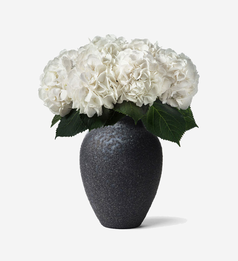 HYDRANGEA VASE SET