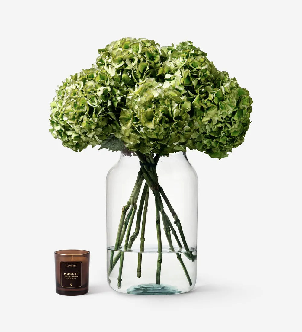 HYDRANGEA VASE SET